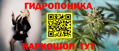 бошки Будённовск