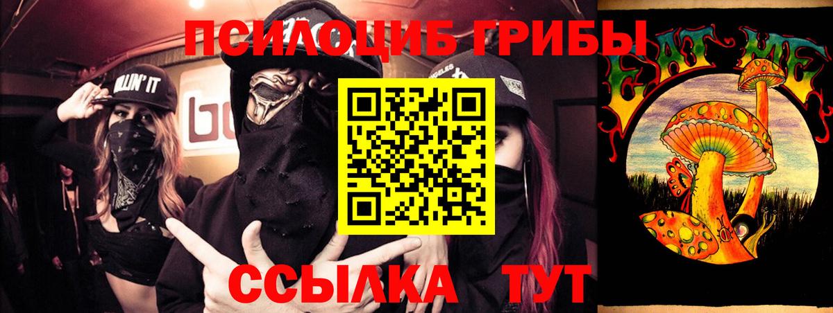купить наркоту  Вход с VPN  Северодвинск  Галлюциногенные грибы Psilocybe 
